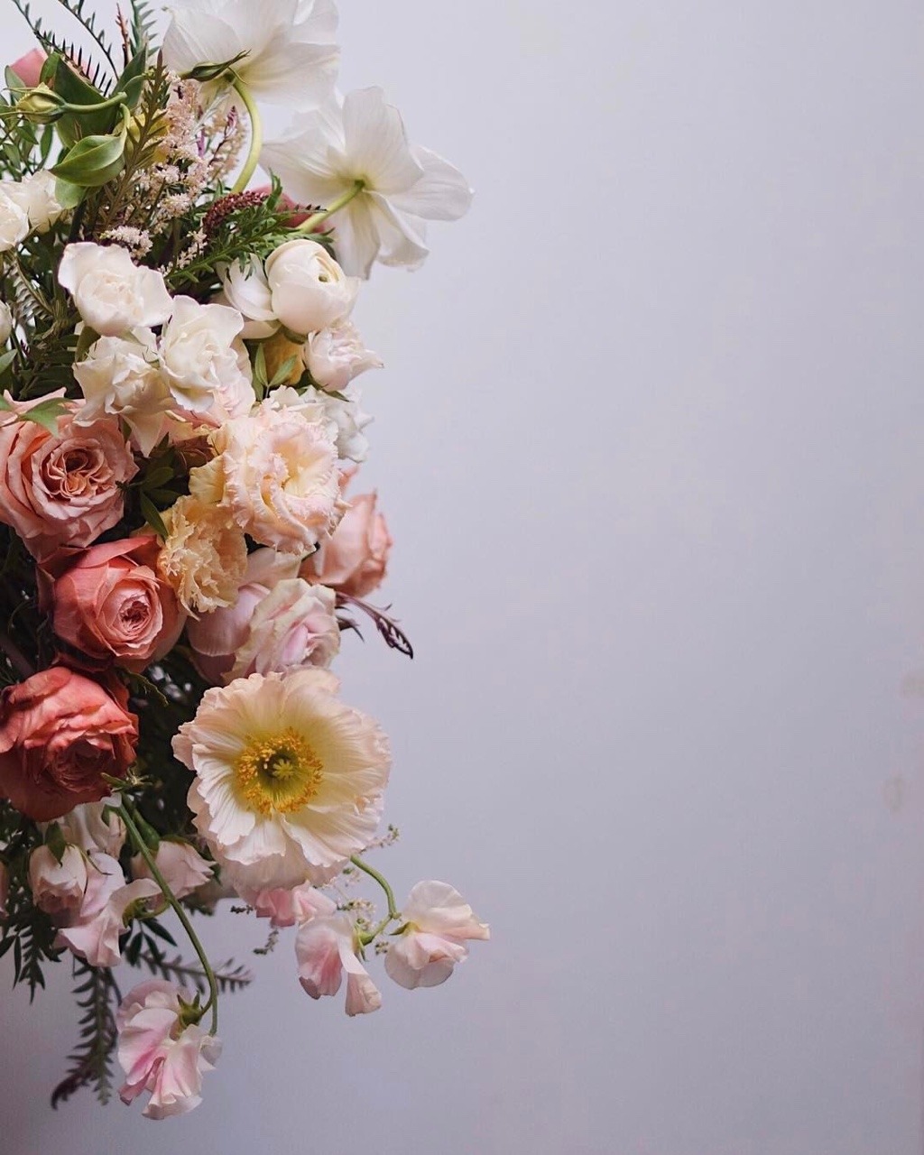 fleur-aesthetic: instagram | mimosaboston 