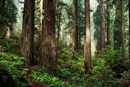 definitelydope:  lord the air smells good today 
