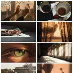 #shrek-aesthetic on Tumblr