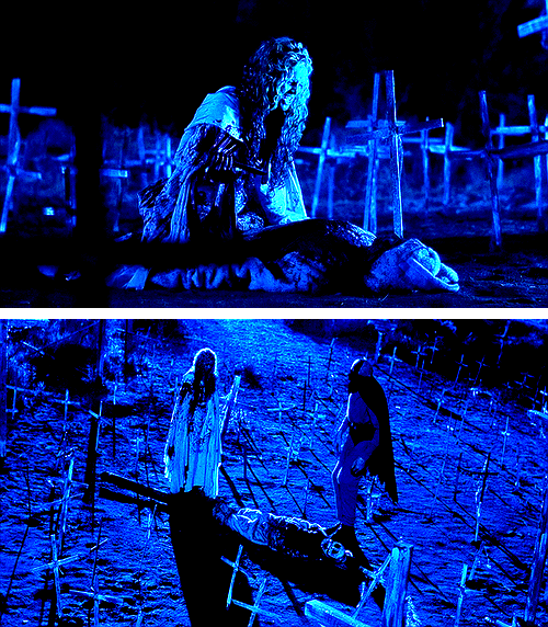 “Whatever you need to do, you do it. There is no wrong. If someone needs to be killed, you kill ‘em. That’s the way.”- House of 1000 Corpses (X)  