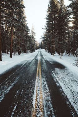 forrestmankins:  slow morning drives