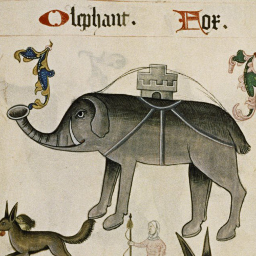 larsdatter:What are these strange, fantastical creatures? Elephants.These illustrators from the 12th