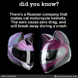 did-you-kno:  There’s a Russian company that  makes cat motorcycle helmets.  The ears cause zero drag, and  will break away during a crash.  SourceThey also make a Predator helmet, which I’m a little too excited about…