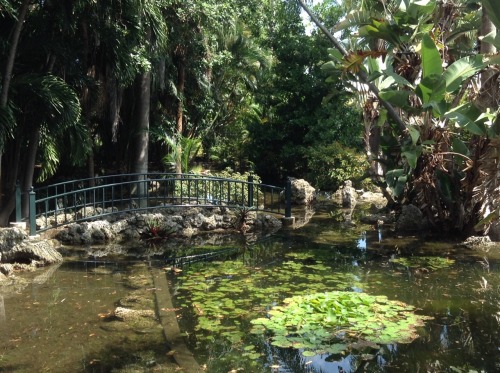 aztec-child: hippo-hippie:  A little park, Miami ❤️ Mine :)  be kind to your mind, body, and others 