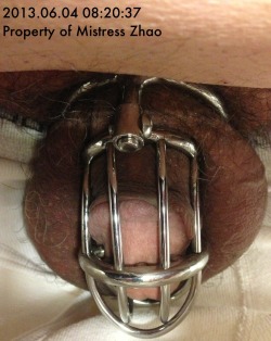 charliebear2013:  I had and extraordinarily exciting and at the same time frustrating session with my owner, Mistress Zhao last night.  After 60 days of 24/7 chastity Mistress Zhao asked me if I would like to be released from my chastity cage and given