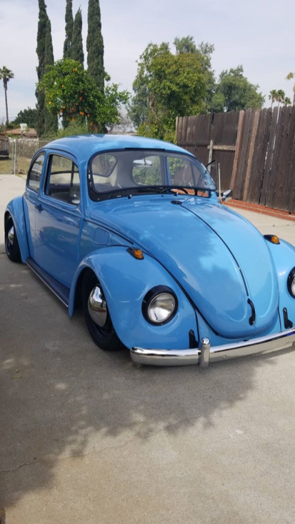 VWs, CARS, BIKES, SUNSHINE, SLAYER, DRAG RACING