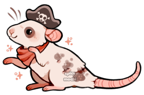 spicymochi:pirate rat