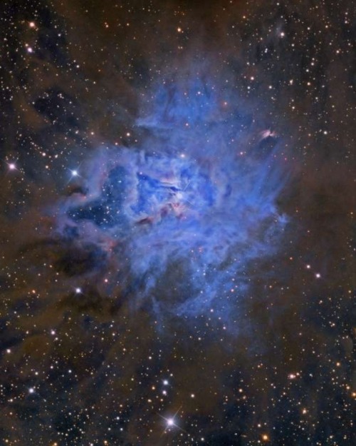 thedemon-hauntedworld: NGC 7023: The Iris Nebula