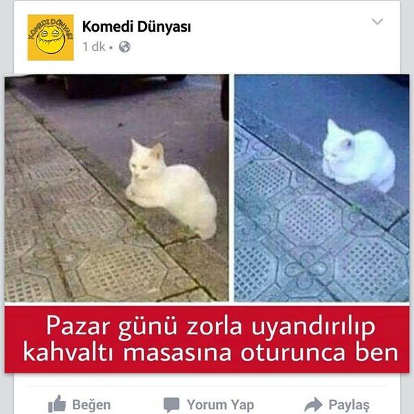 Komedi Dünyası
1 dk.
Pazar...