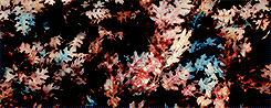 goldblums:  An Unexpected Journey &amp; The Desolation of Smaug + visually beautiful