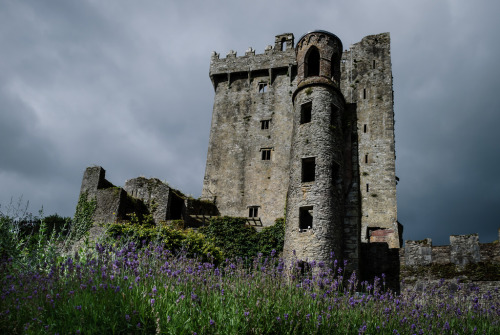 Blarney Castle, Cork, Ireland (by laughlinc)