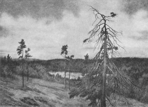 theodor-kittelsen: Oppe Paa Flya, Theodor Severin Kittelsen