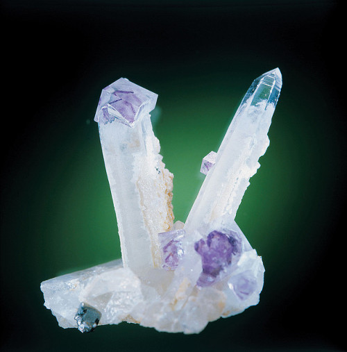 yourfavoriterockblog: Quartz with fluorite at the Mineral Park by Arendal Tourist Office on Flickr.