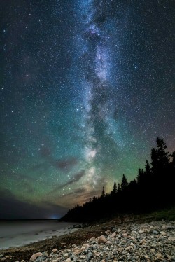 just–space:  Milky Way galaxy.  js