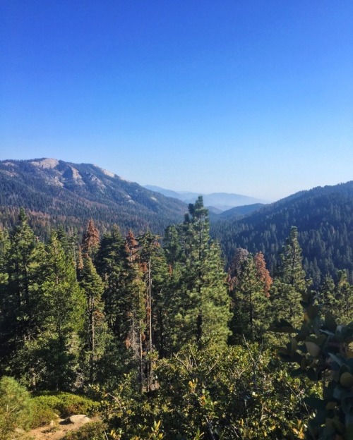 amanda-kathleen:A little flashback to Kings Canyon National Park November 2016