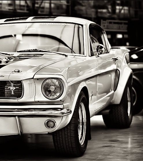 aecpsico:Previous posts told me you love mustangs so…
