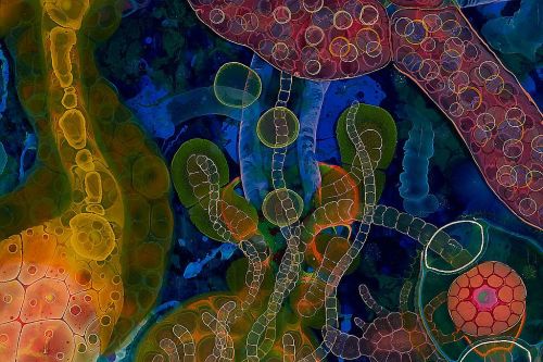 Exploded View ~ artist Bruce Riley, c.2014; mixed media, resin & paint on panel, 48″ x 80″ (view