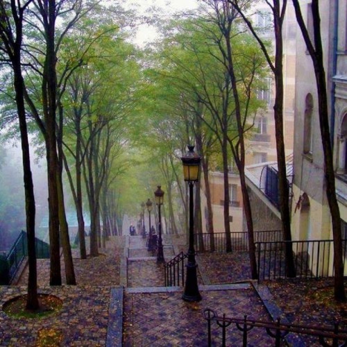 imustnotfearfearisthemindkiller:  Montmartre, Paris. 