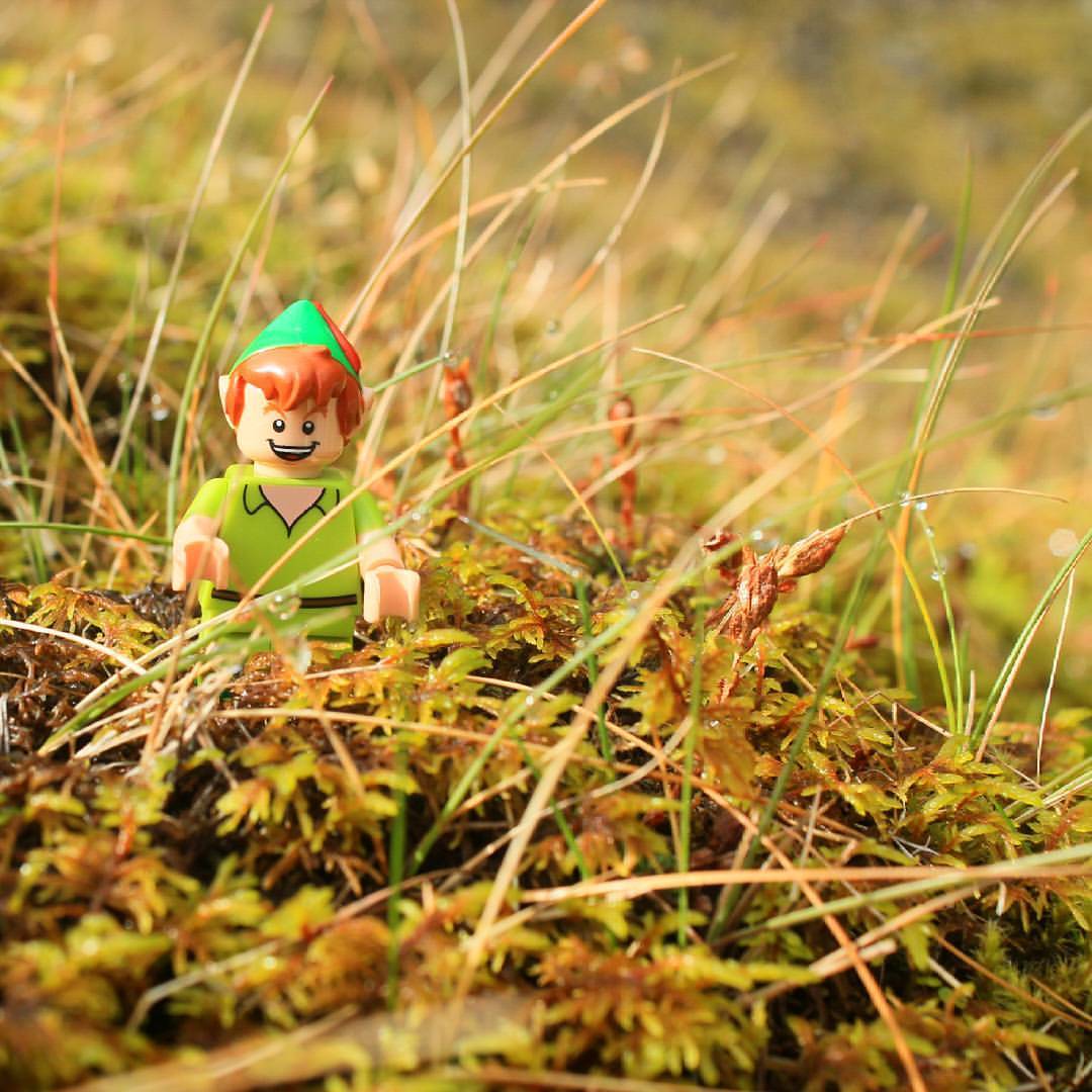 Legohub 5 Tumblr Gallery legohub-5-tumblr-gallery