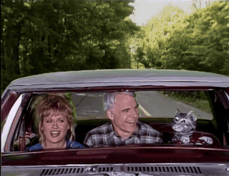 gameraboy:Toonces, the Cat Who Could Drive a Car
