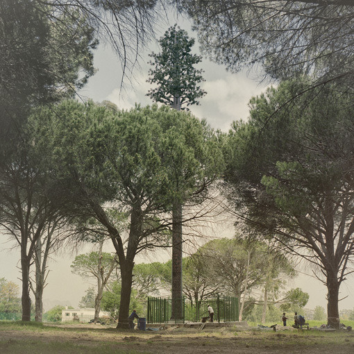 wherearchitectureisfun:  ryanpanos:  Invasive Species | Dillon Marsh In 1996 a palm
