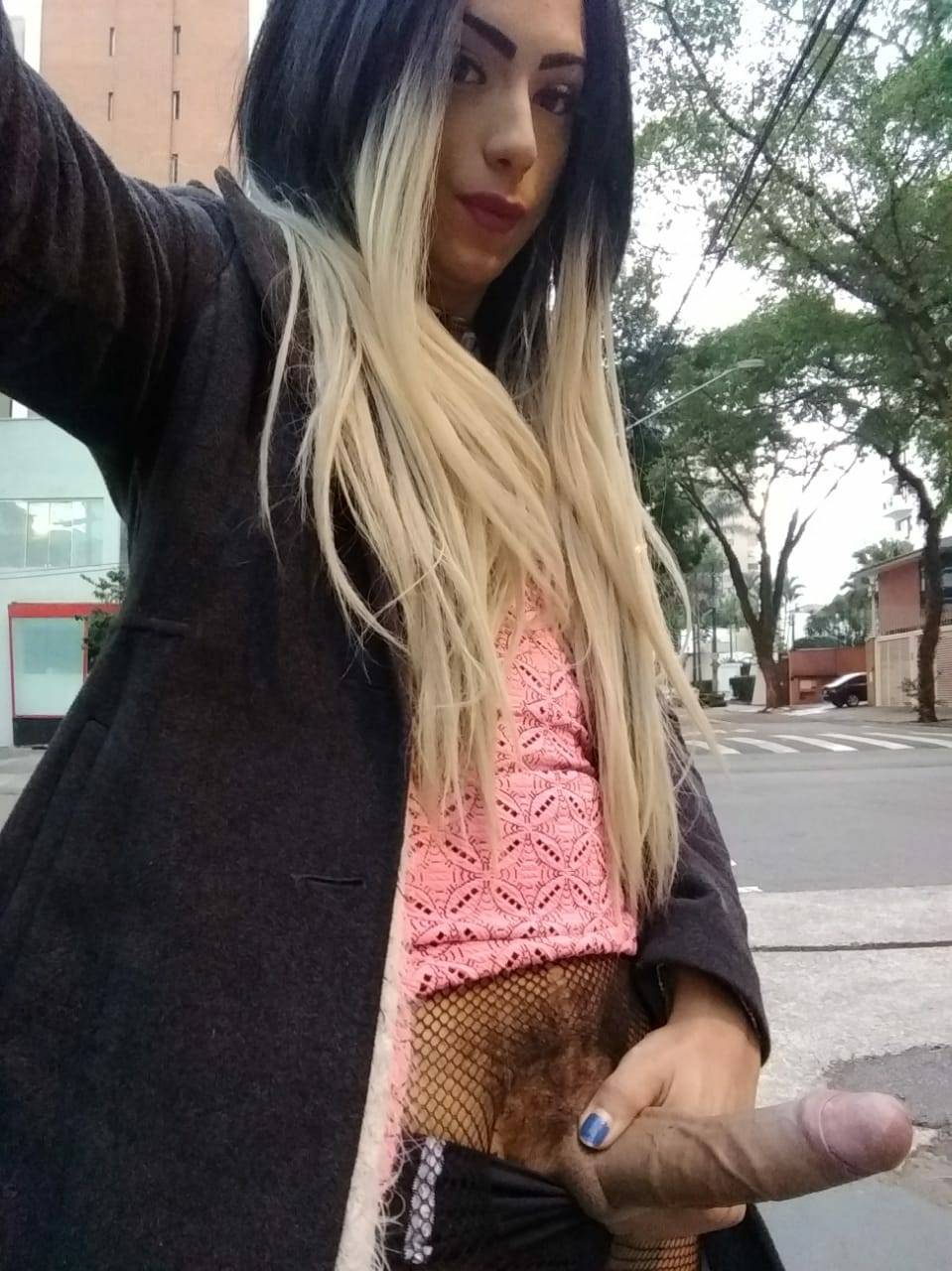 Porn and Trannyporn Pics