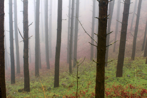 Pratomagno by mark christian soetebier on Flickr.