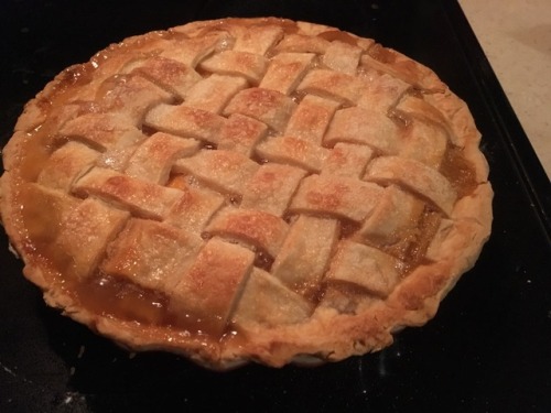 jsb1098: Oh my god no one can imagine the smell of the lattice-top peach pie @sharing-kitten-72 just