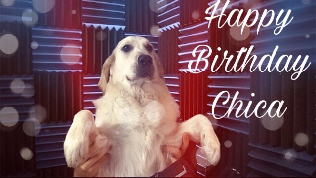 starlight188:  Happy 4th Birthday Chica (Click for better quality)