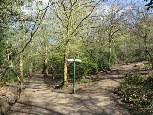 Queen’s Wood, Highgate