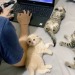 ksmckaythingstolove:Kitty Love!