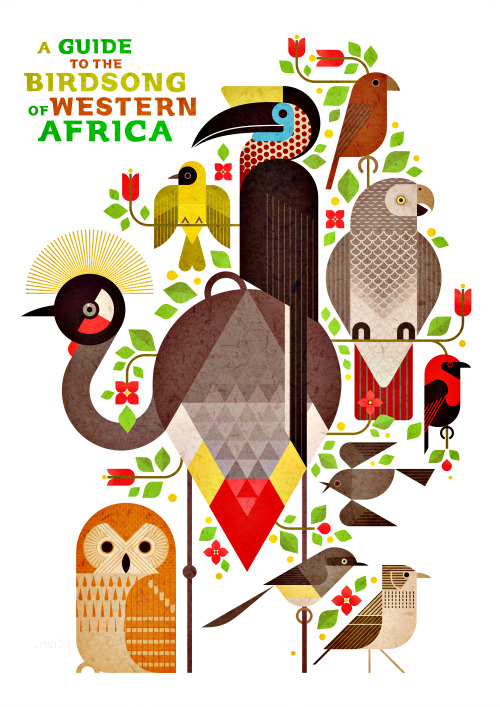 Poster design for A Guide to the Birdsong of Western Africa, an album pairing musical artists and ra