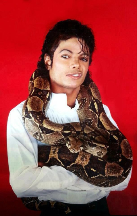 swift-fated:blurrymango: twixnmix: Michael Jackson with his pet boa constrictor Muscles, 1984. He ha