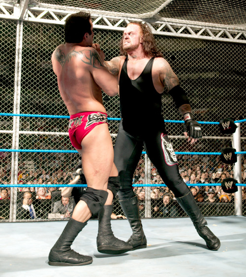 wweass:  fishbulbsuplex:  The Undertaker vs. Randy Orton  I miss Orton’s colored trunks!