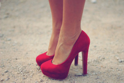 My Dreamland