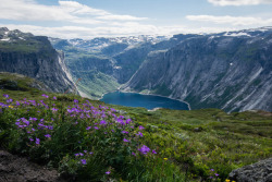 photosofnorwaycom:  ‘Trolltunga’ (Norway) by smART_dog On the way to ‘Trolltunga’. Hardangerfjord, Norway. http://ift.tt/2vtLasD