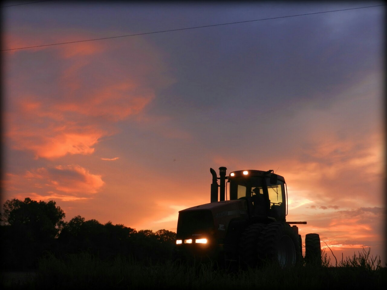 alexburnett89:  2013, the year of the farmer. Support our local farmers in the heartland.