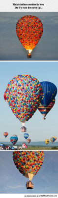 srsfunny:  Up Hot Air Balloon