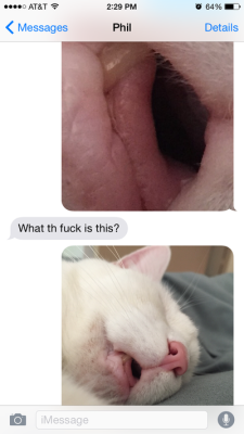 notdeadbabies:  Sending weirdly cropped photos to my brother. 