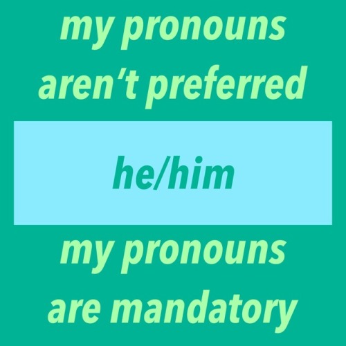 questingqueer: [My pronouns aren’t preferred, my pronouns are mandatory]