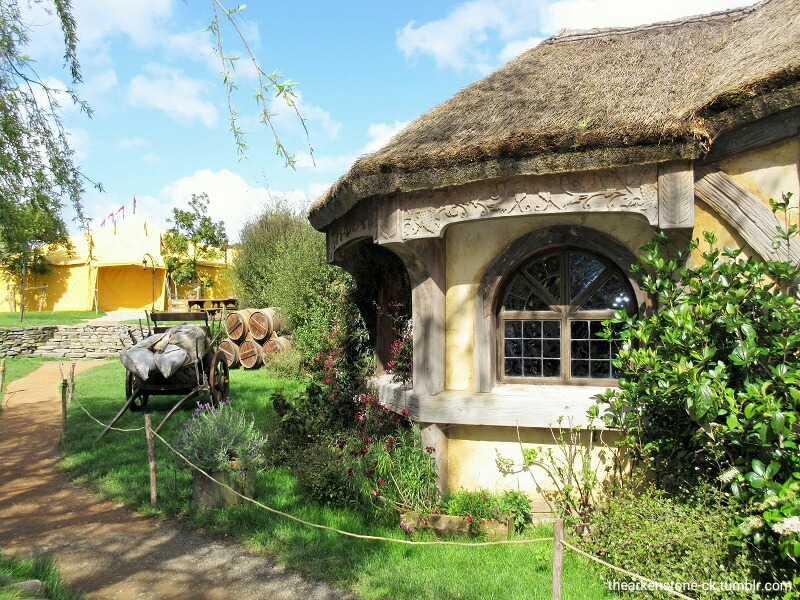 kyleecarrigan:  thearkenstone-ck:   Green Dragon -Middle-earth-Matamata / New Zealand