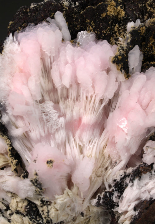 Kutnohorite with Manganoan Calcite - South Africa