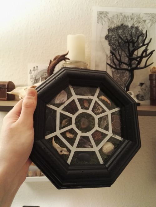 I just made this display thing filled with moss, gems and oddities.