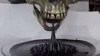 thesilencedmasses: sixpenceee:  Ferrofluid reacting to skull.   THAT’S METAL AS
