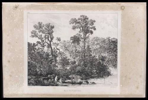 rio paraiba, johann moritz rugendas