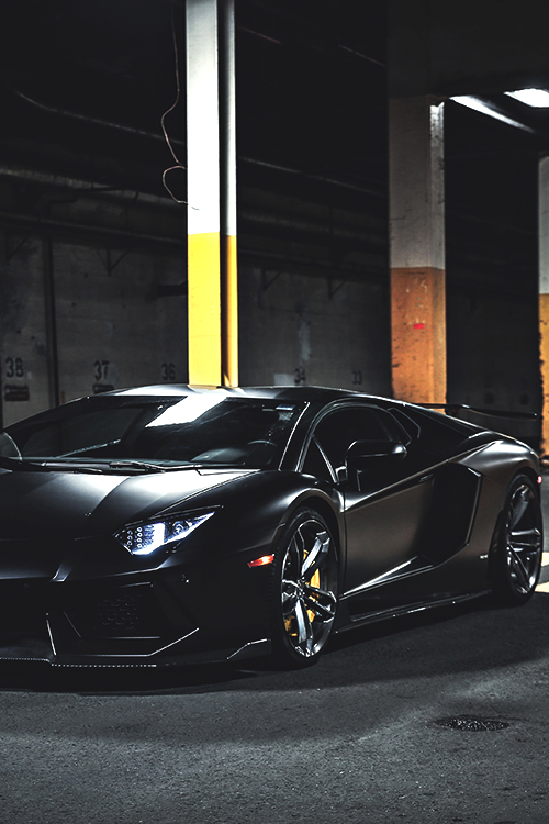 zxxxxvxvsvv:  Aventador | via 