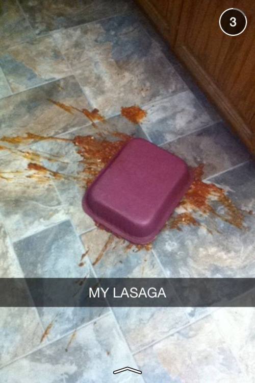 loverofcutebutts: avafaidian:  tragic true life events  hey spelt lasagna wrong which just makes thi