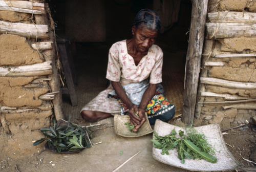   Madagascar: Portraits of Malagasy women of different ethnicities.  Names unknown. Photos by: Frans Lanting  