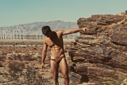 Speedo Craver