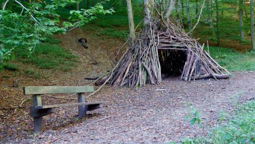 A den in the woods.